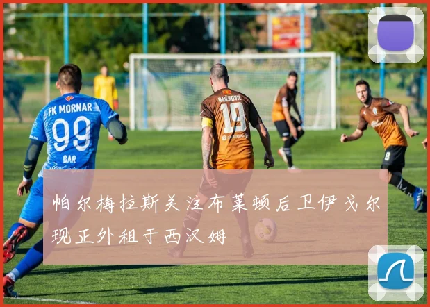 帕尔梅拉斯关注布莱顿后卫伊戈尔现正外租于西汉姆