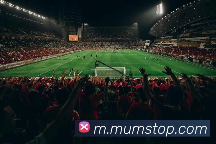 开元网站登录入口平台生态图